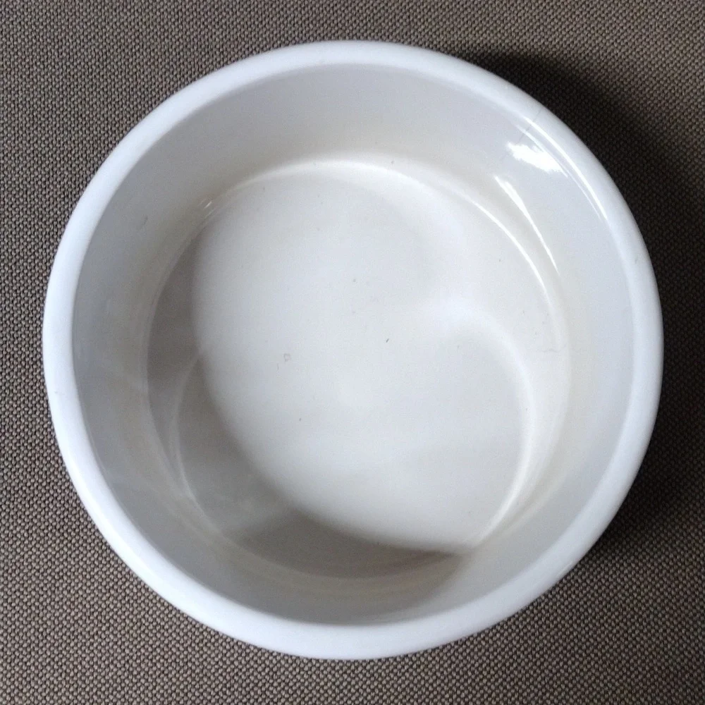 Large ceramic pet dish